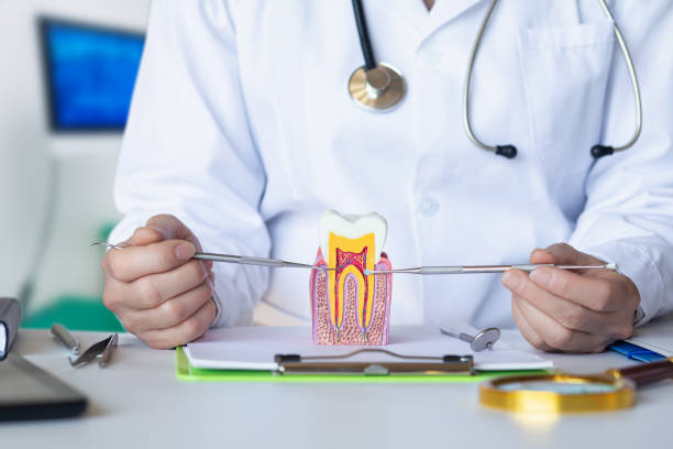 Best Emergency Treatment for Toothache in Park City, UT